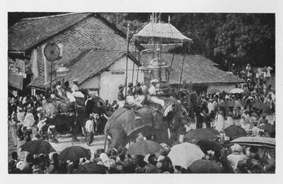 Kandy Perahera. - Una processione di elefanti portata avanti dai capi di Kandy, c1890, 1910 da Alfred William Amandus Plate