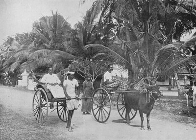 Risciò e Hackery da corsa, c1890, 1910 da Alfred William Amandus Plate