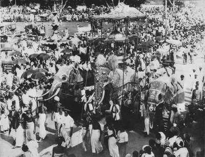 Elefante sacro nella processione Perahera, Kandy, Ceylon, c1890, 1910 da Alfred William Amandus Plate