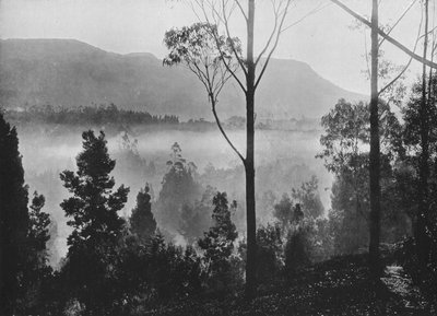 La nebbia del primo mattino che si alza a Nuwara Eliya, c1890, 1910 da Alfred William Amandus Plate