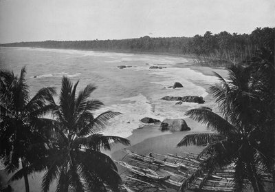 Vista da Mount Lavinia, mostrando palme da cocco lungo la costa, c1890, 1910 da Alfred William Amandus Plate