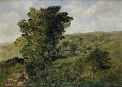 Vista di Nantlle, Caernarvonshire, 1855 da Alfred William Hunt