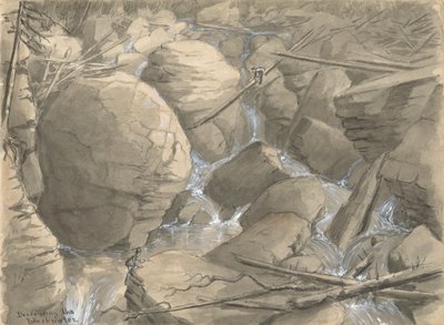 Scendendo il Blackwater da Alfred Wordsworth Thompson