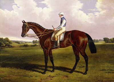 Bloomsbury, un cavallo da corsa castano con Sam Templeman in un paesaggio da Alfred de Prades