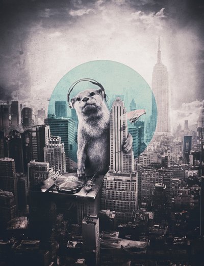 Urban Otter DJ da Ali Gulec