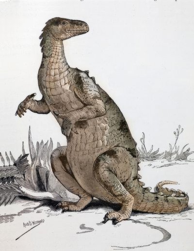 Iguanodonte da Alice Bolingbroke Woodward