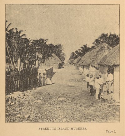 Strada a Isla Mujeres da Alice Dixon Le Plongeon