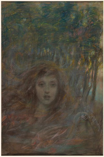 Visione attraverso il bosco da Alice Pike Barney