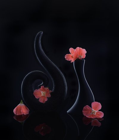  da Alice Sheng
