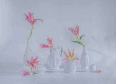  da Alice Sheng