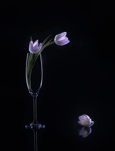  da Alice Sheng