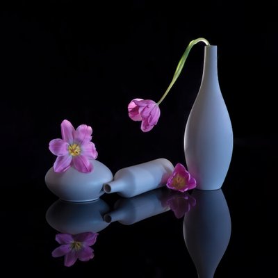  da Alice Sheng