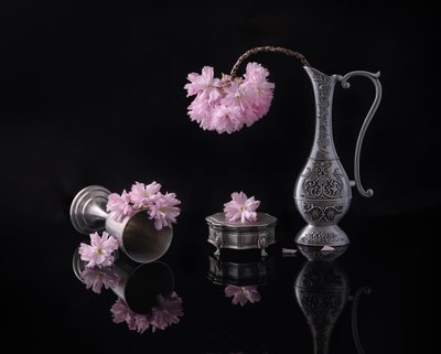  da Alice Sheng