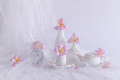  da Alice Sheng