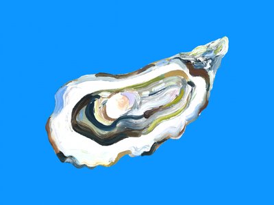 Blue Oyster - Riassunto da Alice Straker