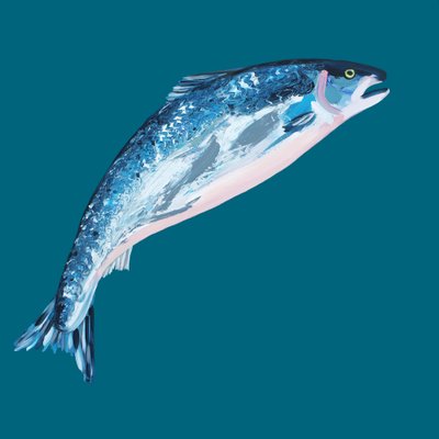 Il salmone blu che salta da Alice Straker