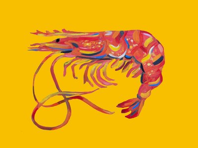 Gamberetti rosso vivo da Alice Straker