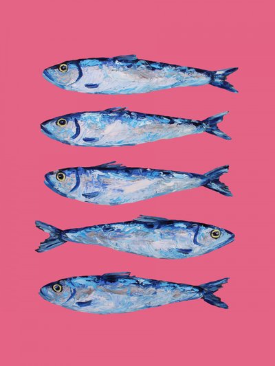 Sardine vivaci su sfondo rosa da Alice Straker