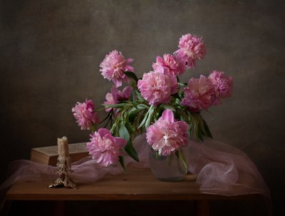  da Alina Lankina