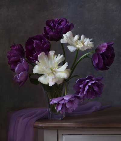  da Alina Lankina