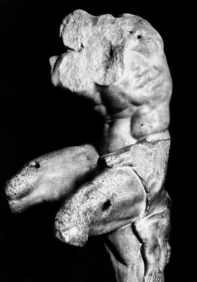 Il Torso del Belvedere di Apollonio di Nestor, c.1890 (foto b/n) da Fratelli Alinari