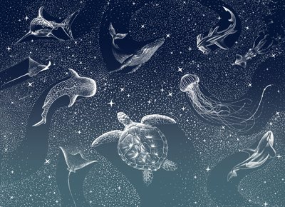 La vita marina celeste da Alirıza ÇAKIR