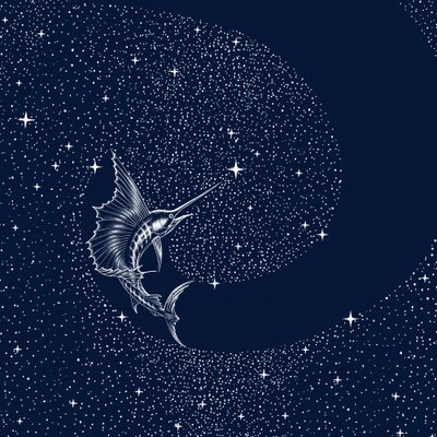 Pesce vela celeste da Alirıza ÇAKIR