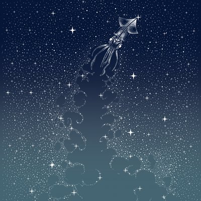 Il volo del calamaro celeste da Alirıza ÇAKIR