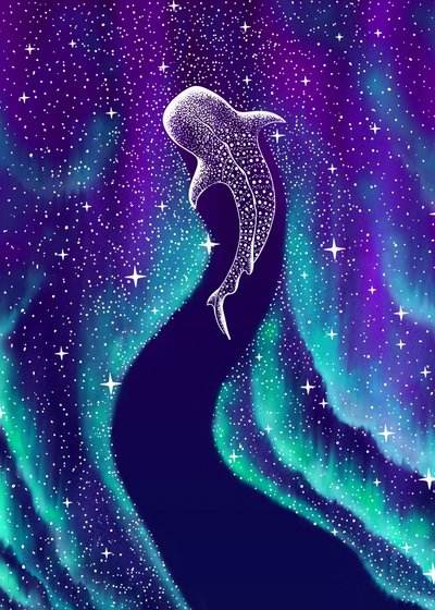 Aurora boreale e squalo balena da Alirıza ÇAKIR