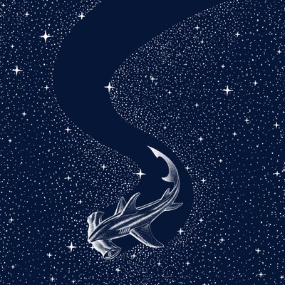 Squalo martello stellato da Alirıza ÇAKIR