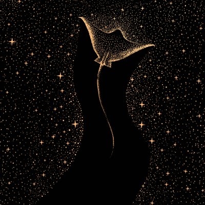 Manta stellata da Alirıza ÇAKIR