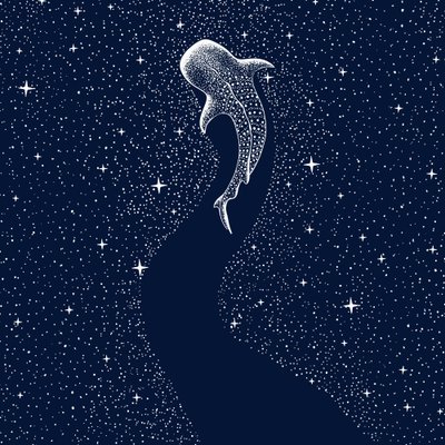 Squalo balena stellato da Alirıza ÇAKIR