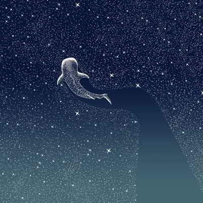 La Galassia dello squalo balena da Alirıza ÇAKIR