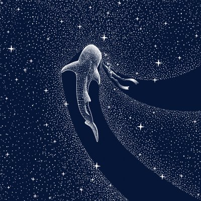 Viaggio nella galassia dello squalo balena da Alirıza ÇAKIR