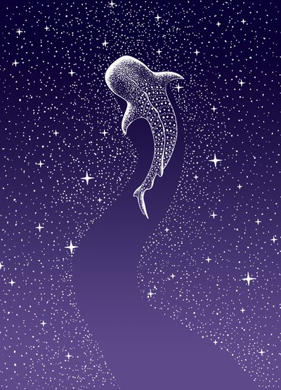 Nuotata nella Galassia degli squali balena da Alirıza ÇAKIR