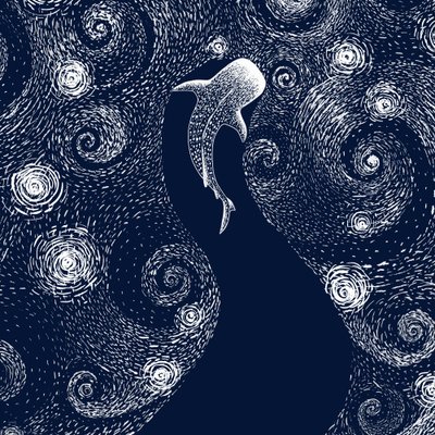 Lo squalo balena nell