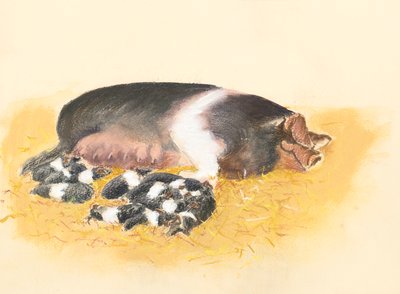 Scrofa con sella e maialini, 2019 da Alison Cooper