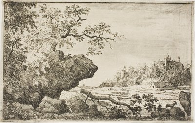 Ramo di un albero da Allaert van Everdingen
