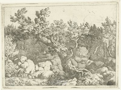 Paesaggio con cacciatore vicino a un grande albero da Allaert van Everdingen