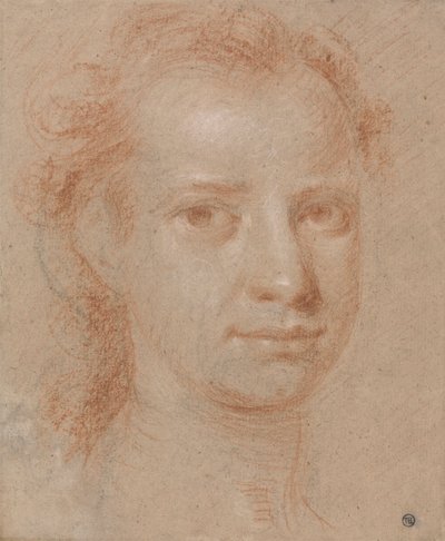 Testa di un giovane uomo o donna da Allan Ramsay