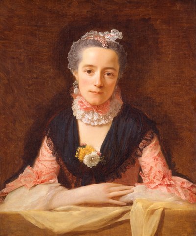 Signora in abito di seta rosa da Allan Ramsay