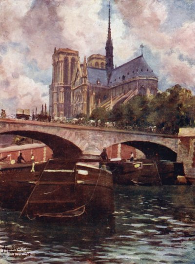 Parigi: Cattedrale di Notre Dame da Allan Stewart