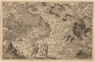 Una foresta fitta da Allart van Everdingen