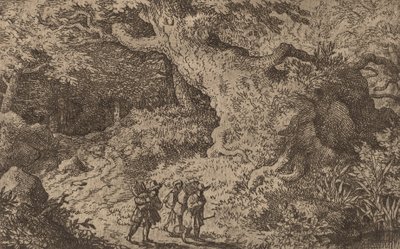 Una fitta foresta da Allart van Everdingen