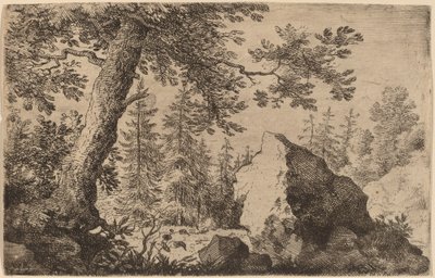 Masso nel bosco da Allart van Everdingen