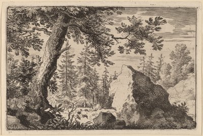 Masso nel bosco da Allart van Everdingen
