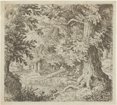 Il Ruscello nel Bosco, XVII secolo da Allart van Everdingen
