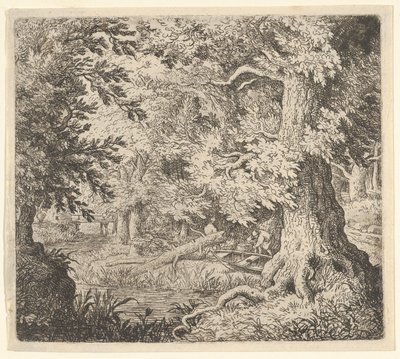 Il ruscello nel bosco, XVII secolo da Allart van Everdingen