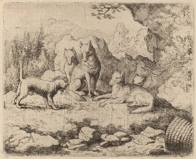 Il gatto inviato come messaggero, probabilmente c. 1645-1656 da Allart van Everdingen
