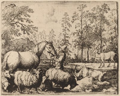 Il cavallo e il cervo, probabilmente c. 1645-1656 da Allart van Everdingen